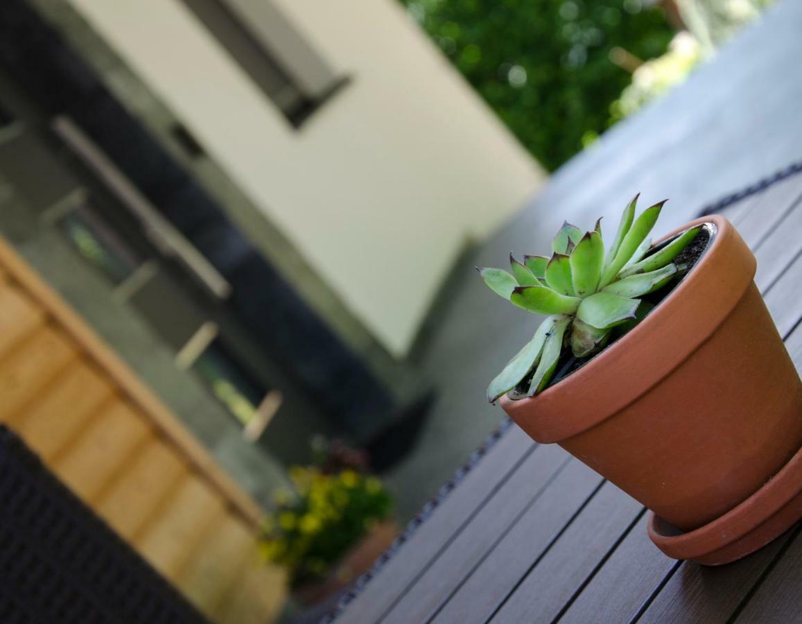Apartmaji Rajska Ptica Bled Exteriér fotografie